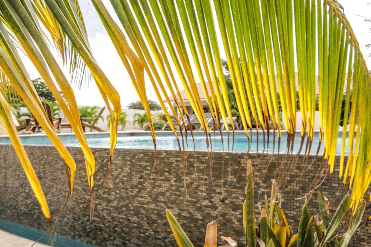 Abc Lodges Curacao Willemstad Bagian luar foto