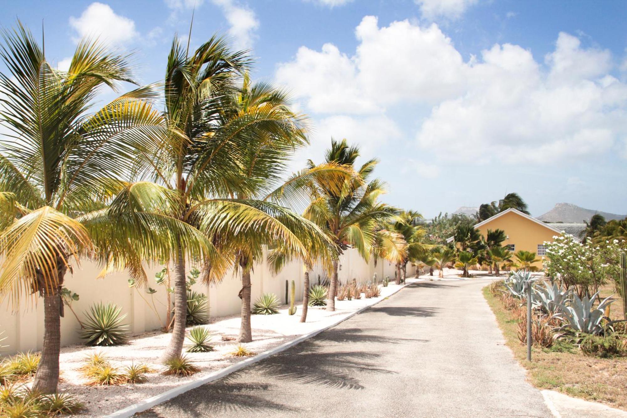 Abc Lodges Curacao Willemstad Bagian luar foto