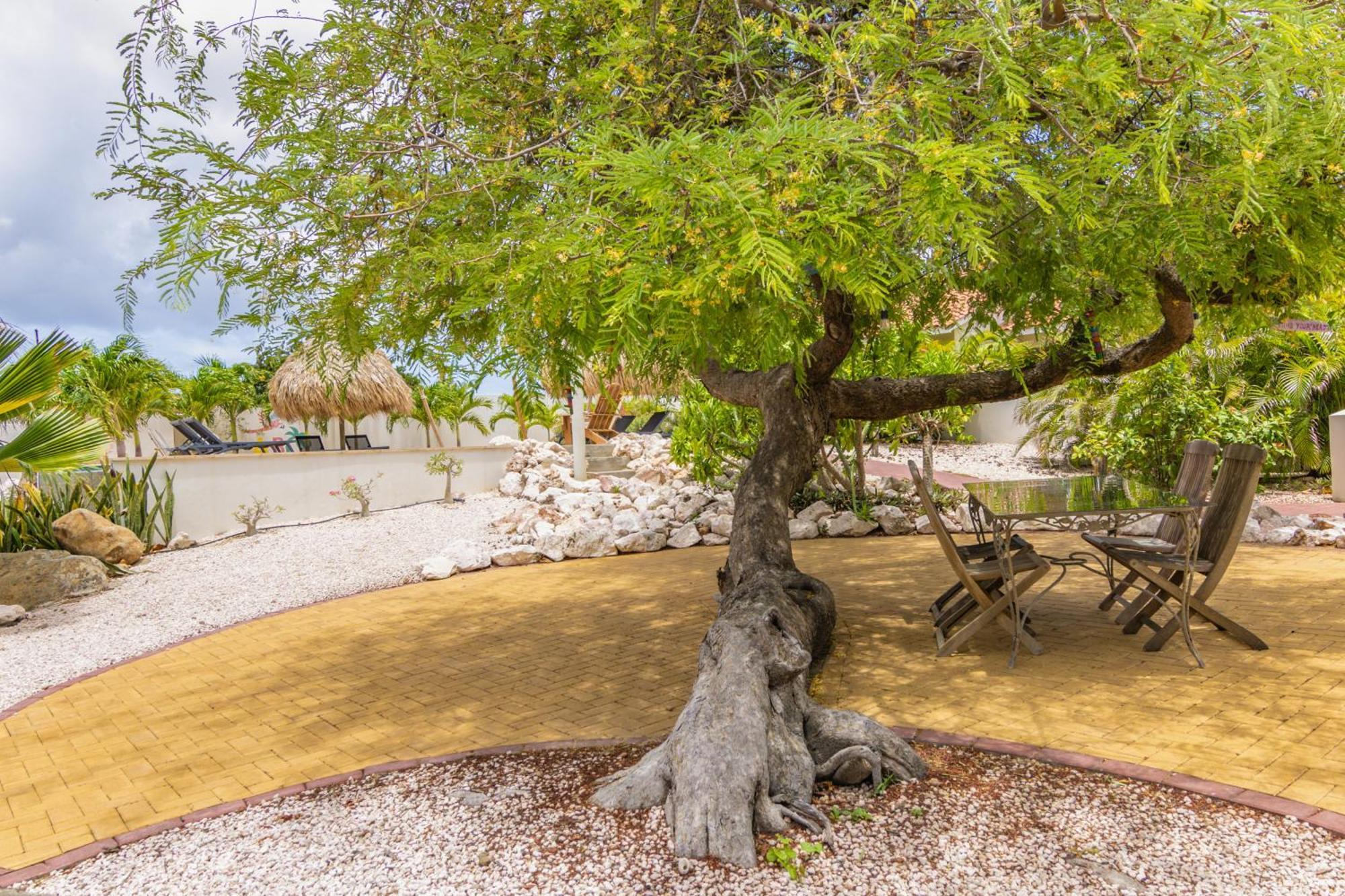 Abc Lodges Curacao Willemstad Bagian luar foto