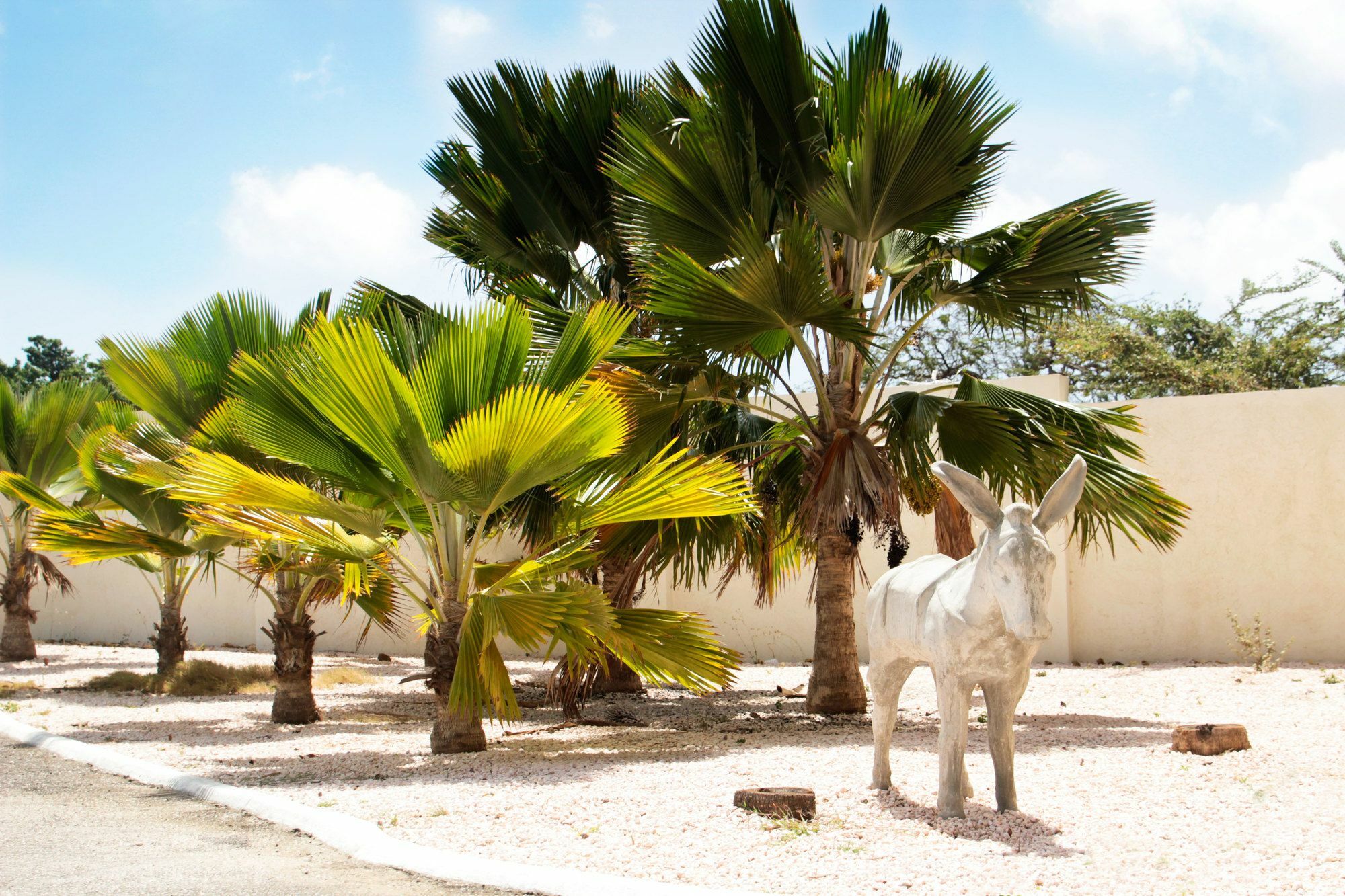 Abc Lodges Curacao Willemstad Bagian luar foto